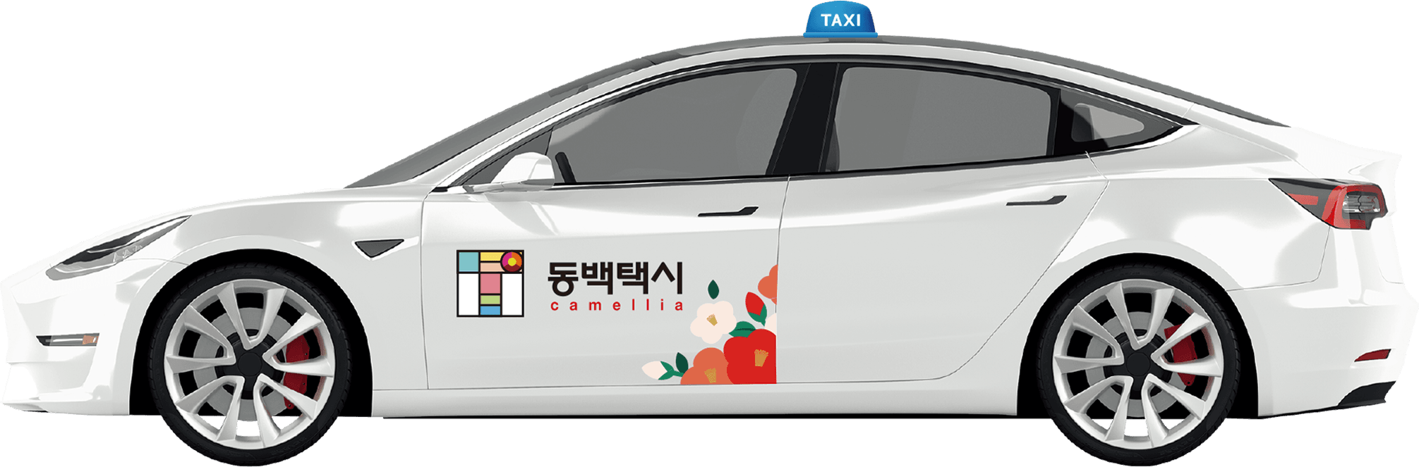 부산광역시 동백택시